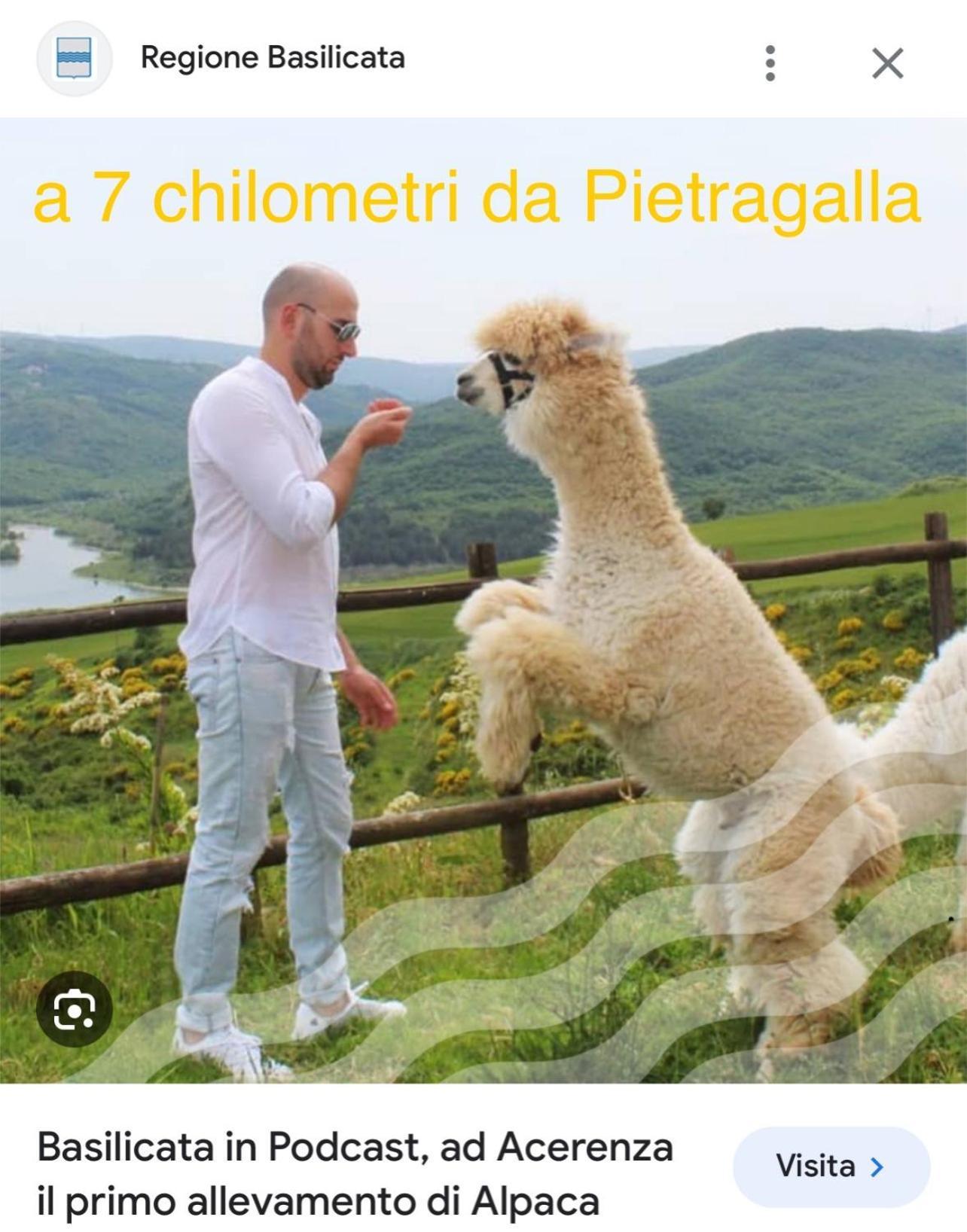 La Casa Dell'Artista Di Vittorio Vertone Pietragalla Kültér fotó